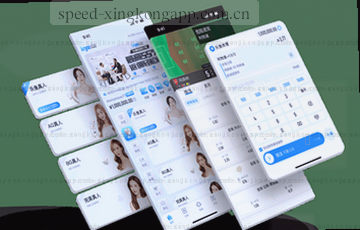 骨架清晰，搜索直达